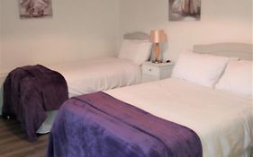 Lettermore Apartment 2